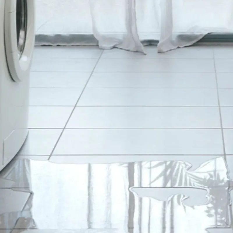 Appliance Leak Cleanup in Lawrence, KS