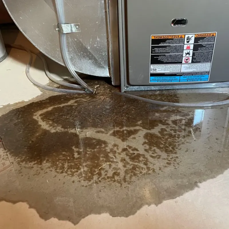 Pipe Burst and Leak Restoration in Lawrence, KS