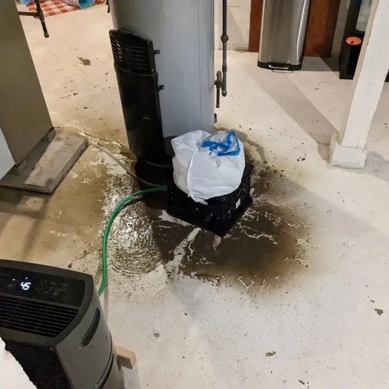 Sewage Backup Cleanup Service in Lawrence, KS